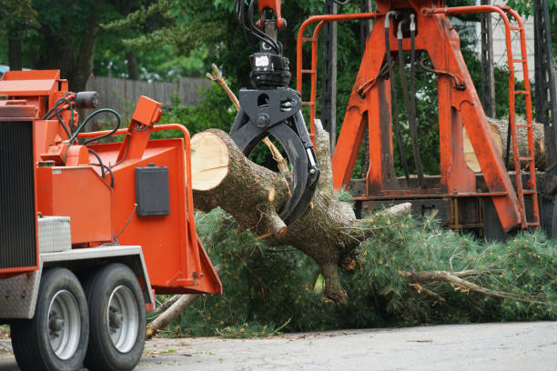 Lawn Drainage Solutions in Vance, AL